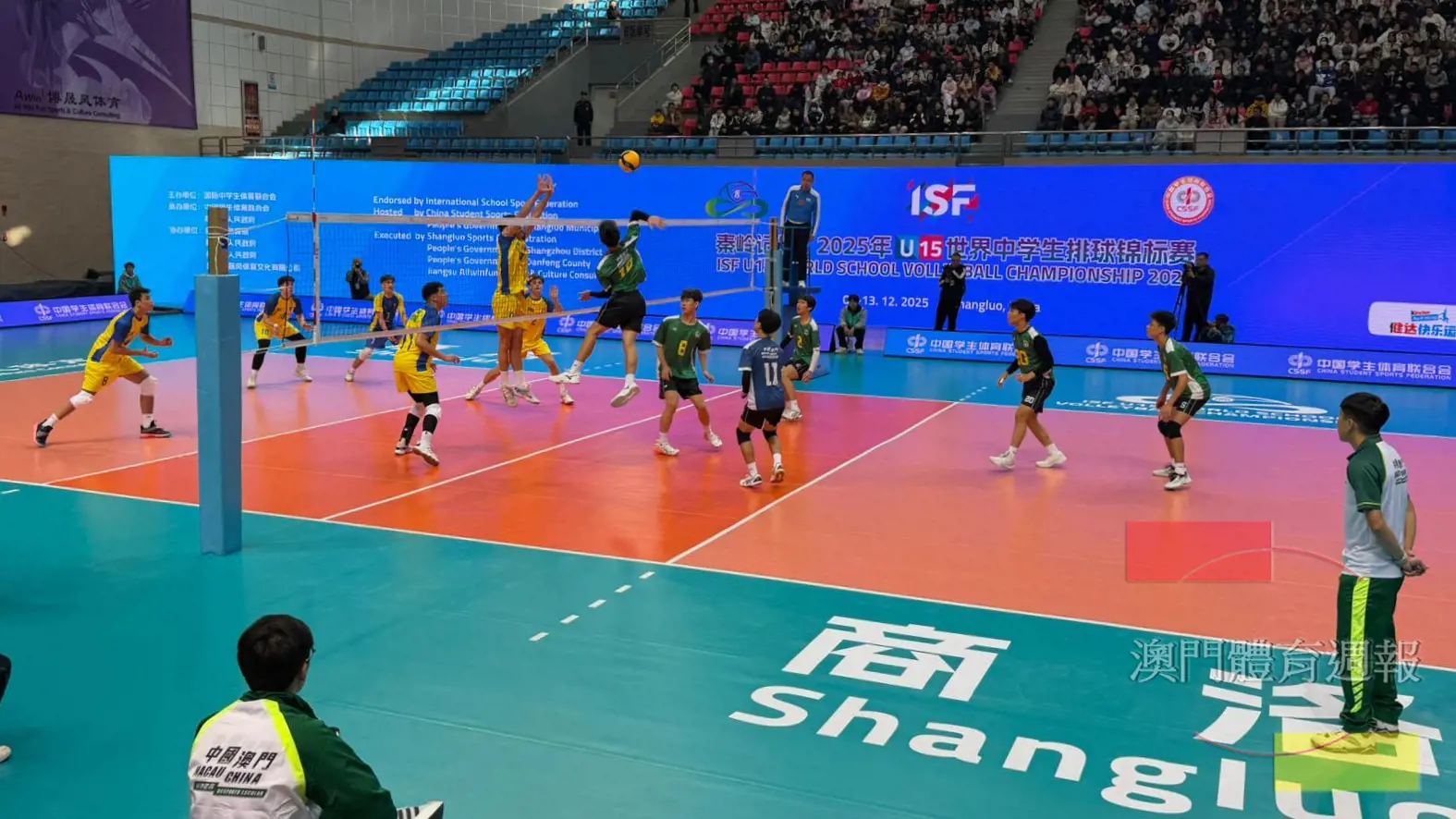 1. 主攻張藝翹網上開火.jpeg